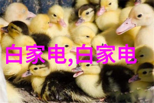 细腻的连接丝接管件在现代制造中的应用探究