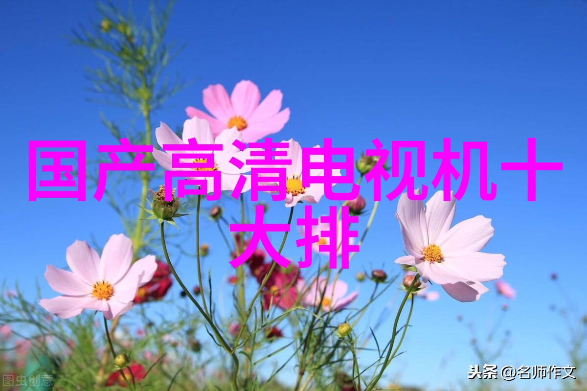 自动报警手环在日常生活中的实际应用场景有哪些优势和劣势呢