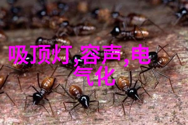 通道式自动喷淋消毒系统清洁效率与安全的完美结合