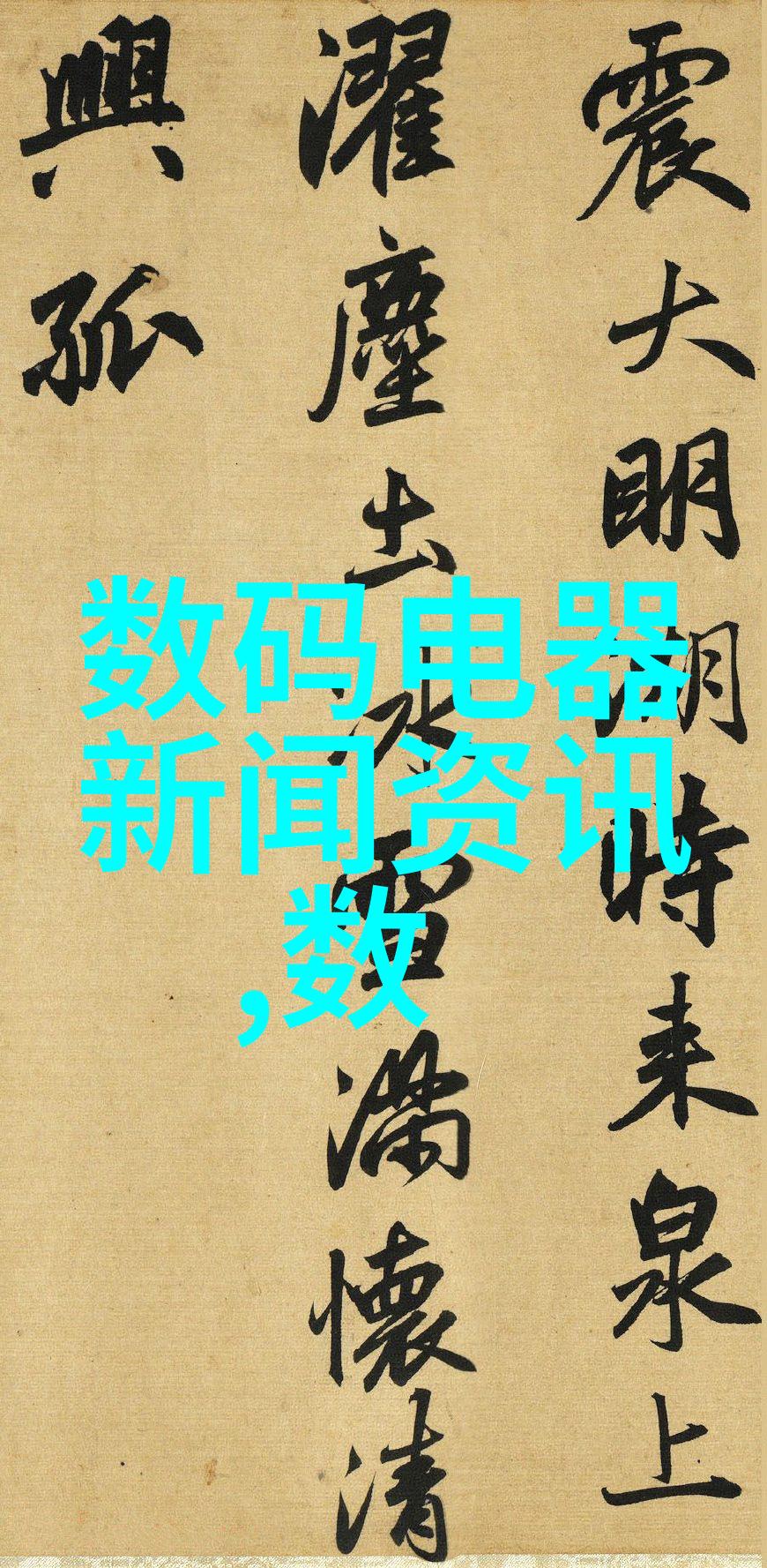 安徽财经大学的秘密账簿
