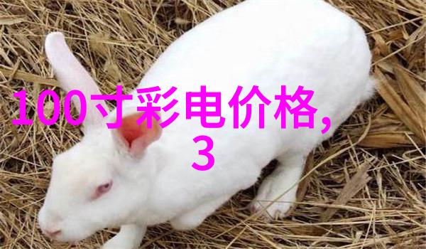 自建房二楼客厅装修效果图 - 温馨舒适的家自建房二楼客厅精致装修案例