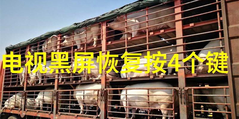 新兴技术在药包材制造设备中的应用前景如何