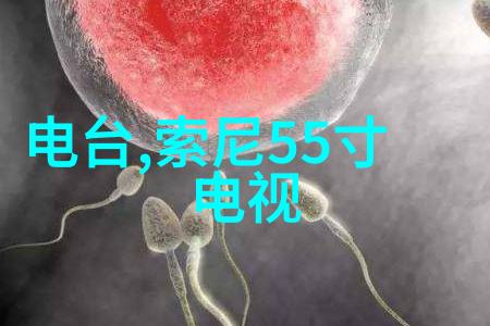 初中毕业学什么技术比较有前途 - 未来就业热门初中生必备的5大科技技能