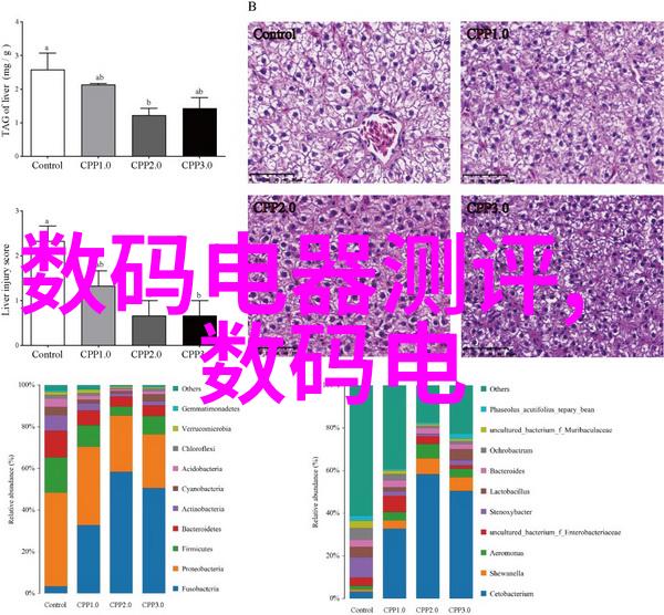 冰冷的守护者冷库制冷设备背后的秘密