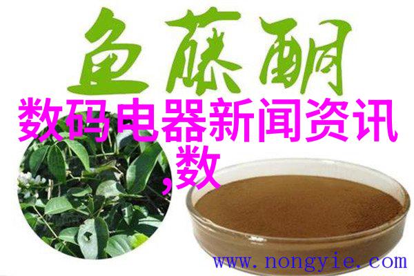 工作汇报简报
