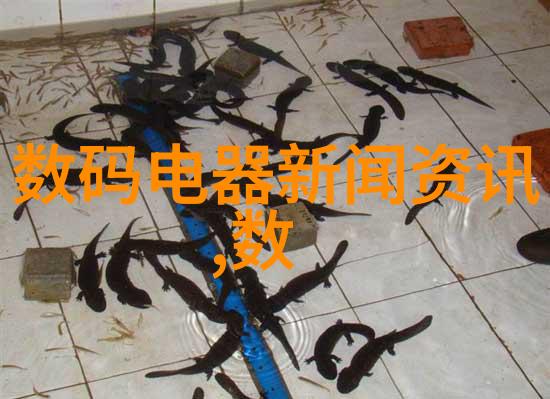 电视剧液晶电视探秘人生画面