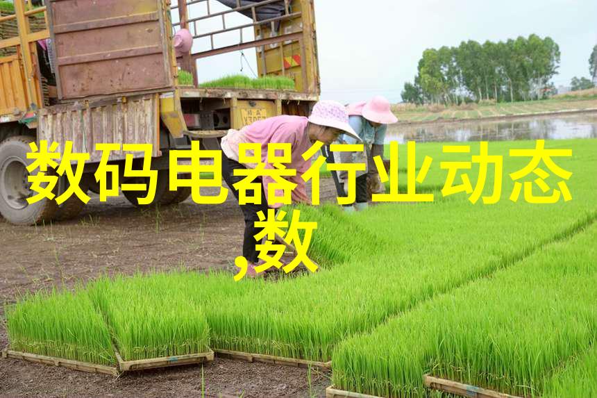 宋玉章文学与政治的交汇点