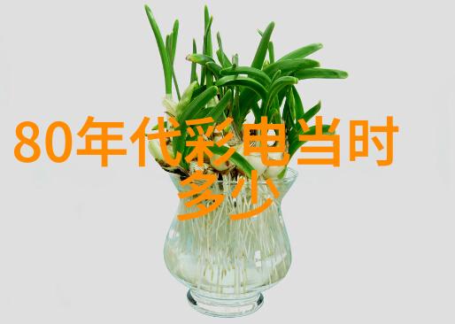 家庭冰箱温度调节建议适宜的冰箱存储温度设置