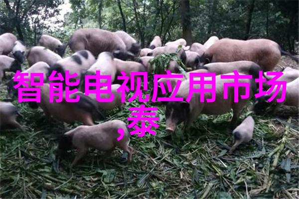 企业空间革新公司设计装修的艺术与实用融合