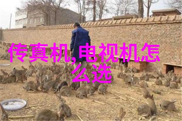 智能穿戴设备软件测试智能穿戴技术的极致体验