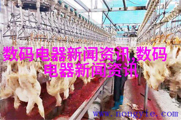 现代高科技厨房
