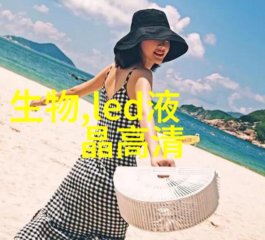 言教授与Pop的撞击