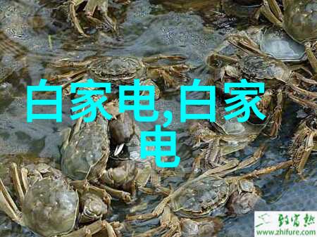 水处理公司-净化源头探索水处理公司的创新之路