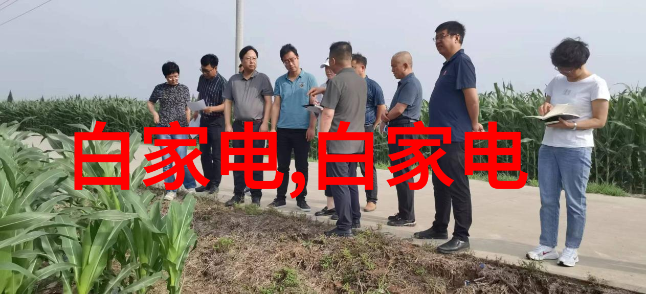 探索Pert管材之谜解析管道材料的种类与选择