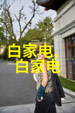 罗茨风机的工作原理与应用