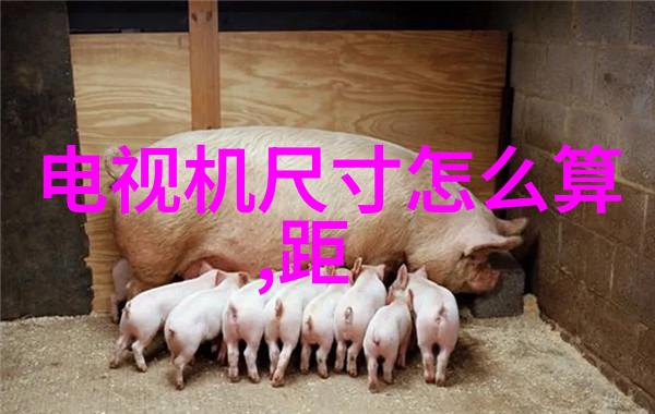 电子束技术如何改善医院内环境卫生管理