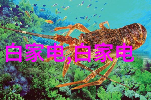 深圳蔬菜之都深度探索三大批发市场的辉煌与魅力