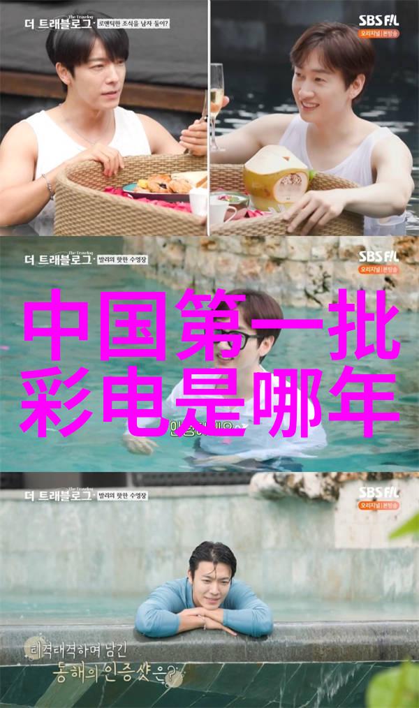 兔狗家装 - 创意生活如何为您的宠物设计理想的居所