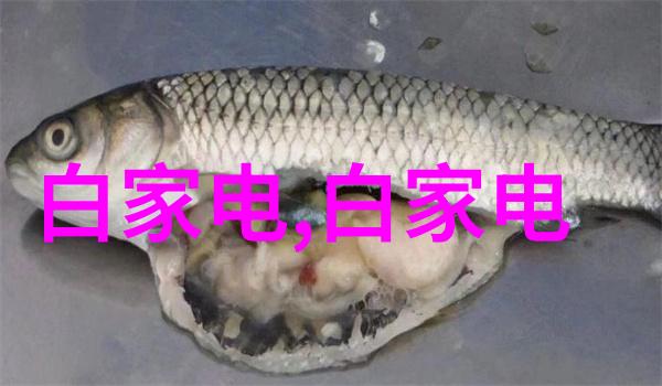 智能过滤系统高效精准的信息筛选工具