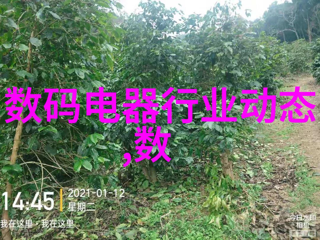 净化之器揭秘灭菌的高科技伙伴们
