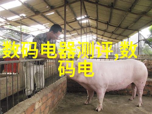 探索应用商店 安装新奇从下载到体验的全过程解析