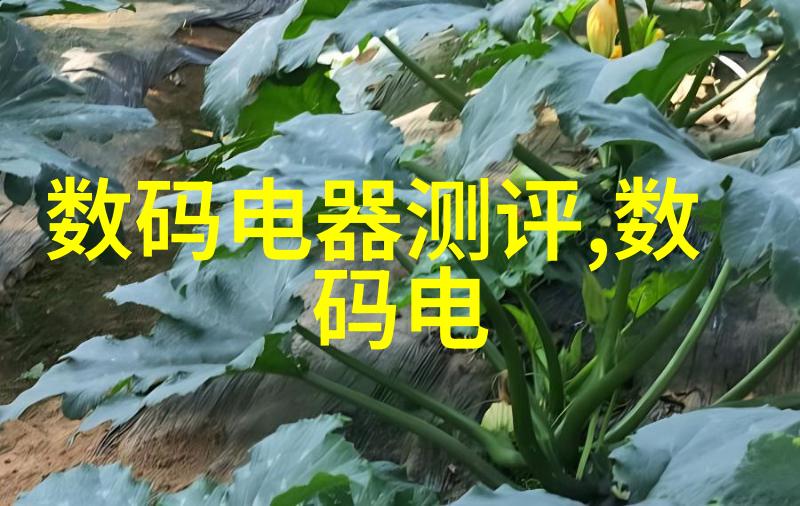 中国智能物流骨干网建设的新里程碑