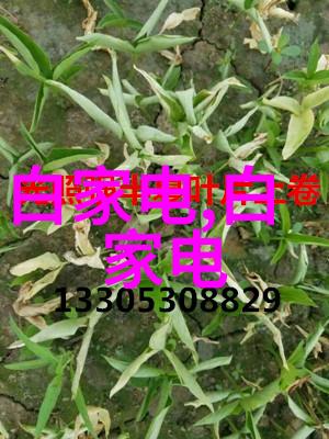 食品灭菌设备技术公司我司的热销产品一键式烘箱让你的厨房更无忧