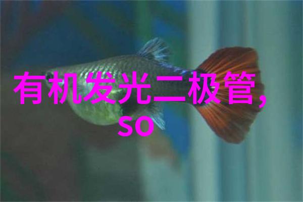 投资指南揭开汽配店创业投资的神秘面纱