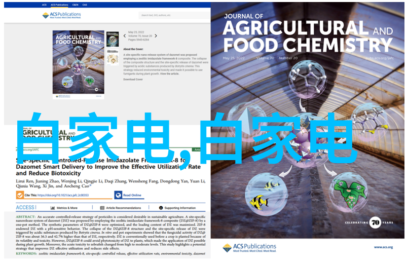 云南财经大学我在这里的故事从书本到实践的奇妙旅程