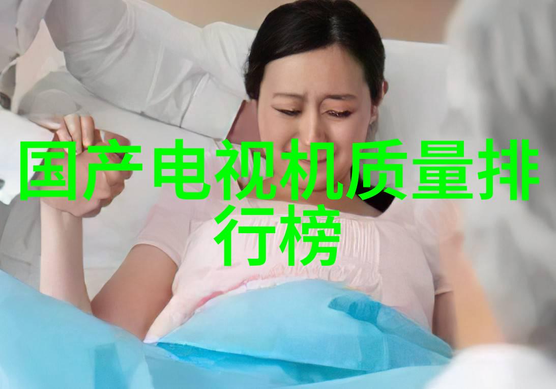 标志性项目建构标签体系的重要性与挑战