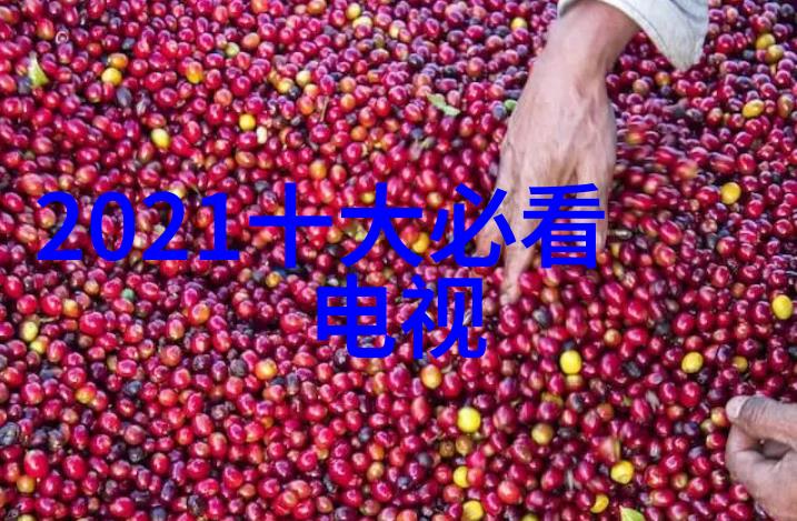 材料管理中的填料规整与应用实践探究