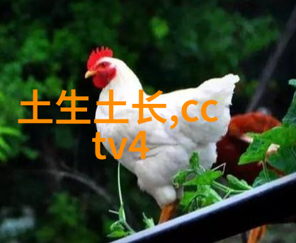 超声波杀菌高压灭菌锅的无声守护者
