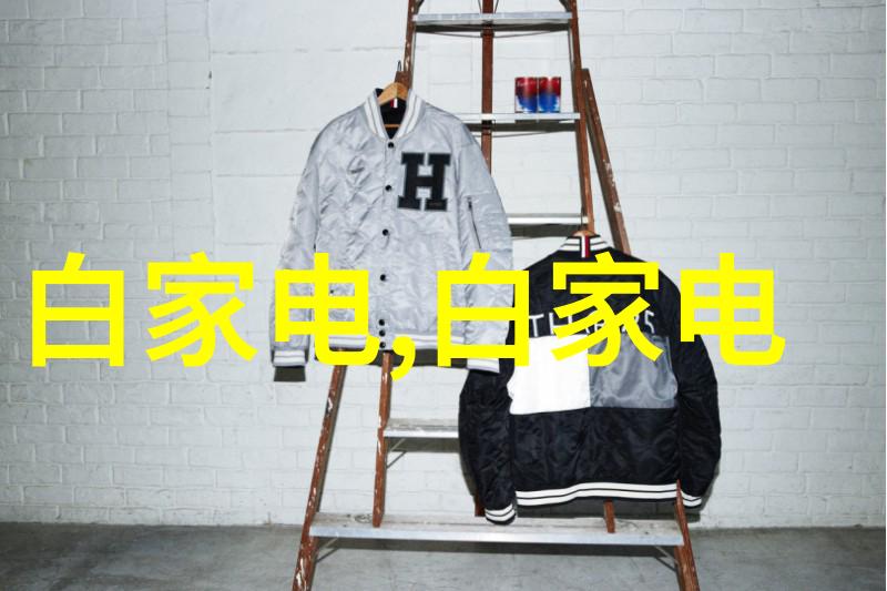 带式干燥设备我的小伙伴在干物流的战斗中默默作战