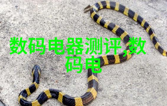 膏药机械我的身体的守护者
