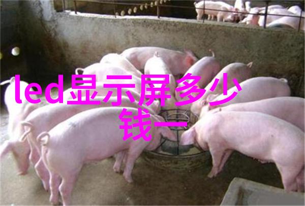 探索拍照背后的真实身份