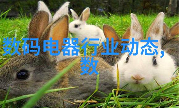 主题我近处的不锈钢加工店那些年我见证了它的变迁