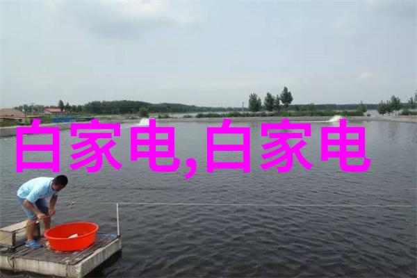 2023年国产光刻机新纪元掌握28纳米制程的关键技术