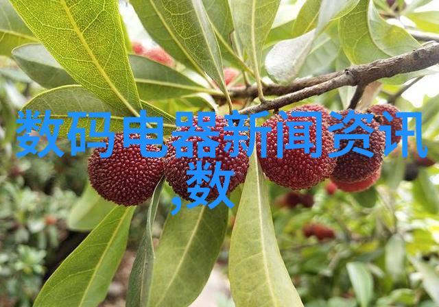 南京信息职业技术学院青春编码的梦想工厂
