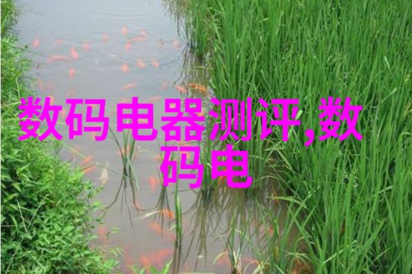 一阳吞三阴技术要求探究新时代生态系统优化与能量平衡的理论与实践