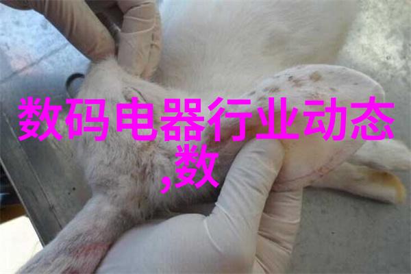 云南财经大学官网智慧成长的窗口