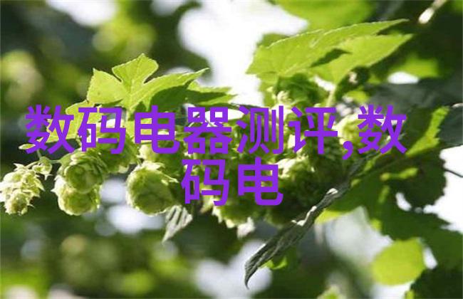 江西财经大学研究生院学术殿堂与梦想起点