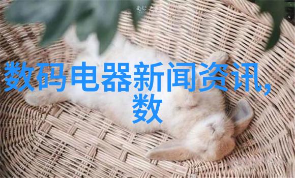 数字化身份证件将是下一代个人认证的新趋势吗