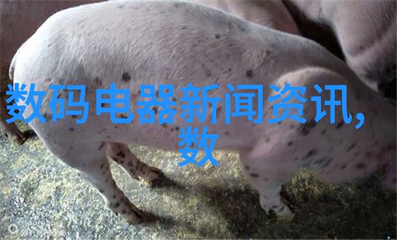 智能穿戴推荐华为 Watch 4助您高效备战马拉松挑战