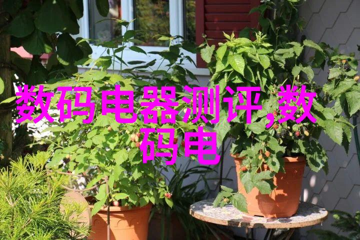 编程语言的未来发展方向探究