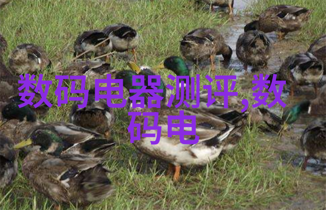 工业级不锈钢管的精细加工与退火技术革新