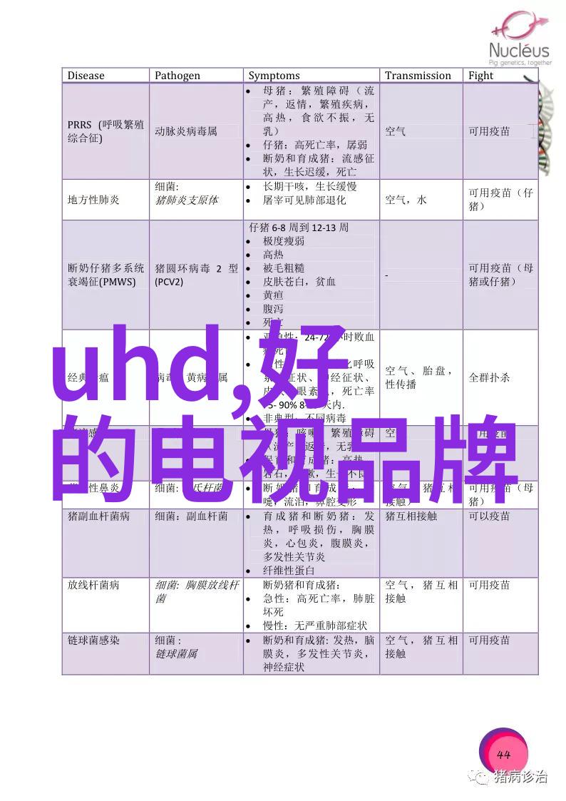 在北京单反摄影器材城的迷雾中你能找到属于自己的那份光芒吗