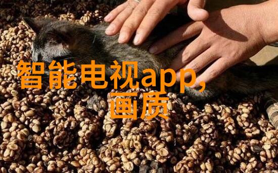 不锈钢波纹丝网填料我是如何用它来美化家中的花园的