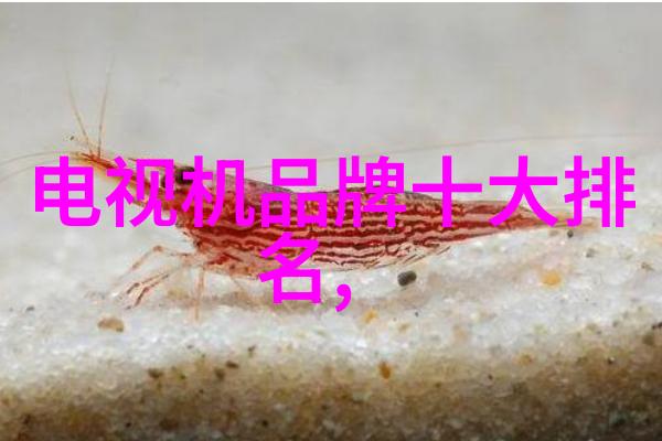 主卧空间的完美布局从床品到装饰打造梦想之寝室