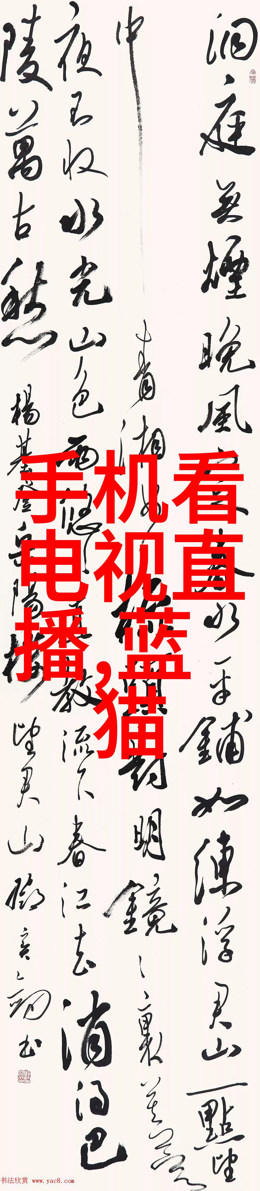 婚礼记忆永恒专业摄影师跟拍服务