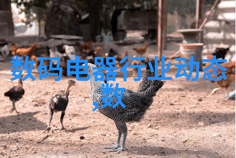 邯郸职业技术学院我在这里找到了我的技能之路